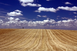 Alentejo 