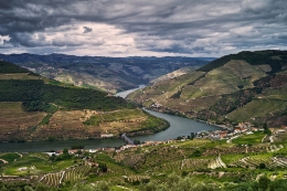 Douro Vinhateiro 