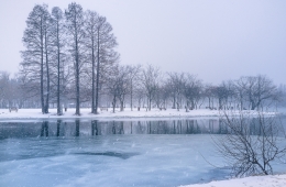 First snow 