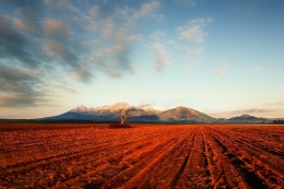 the Tatra Mountains 