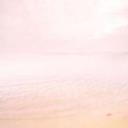 Light pink mind 