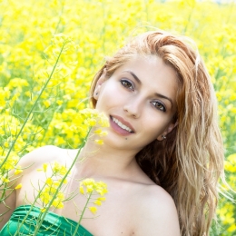 In rapeseed field 