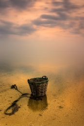 Empty Fish Basket 