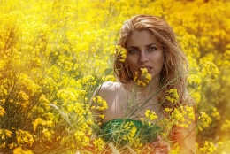  In Rapeseed Field (2) 