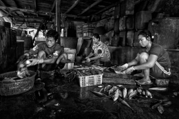 Fish Processing 