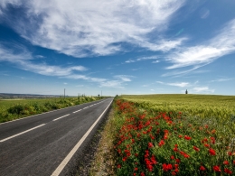 Caminhos 