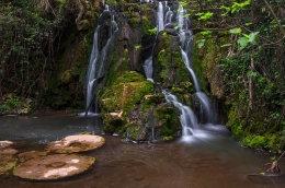 Água, fonte de vida___ 