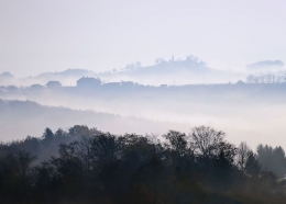 foggy morning 