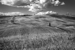 Tuscany 