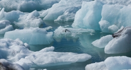 Fishing- Iceland 