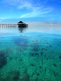 beauty of derawan island 