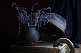 Lavender flowers 