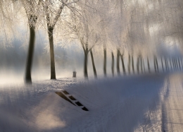 Winter mood along the Meuse 