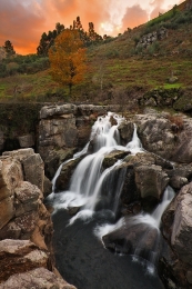 Autumn Sunset 