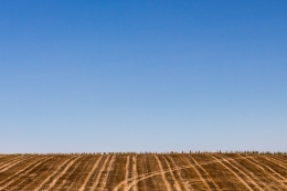 Alentejo-Portugal 