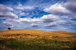 Alentejo 