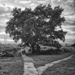 a forked road 