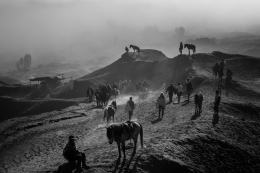 Good Morning Bromo 