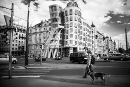 Dancing house 