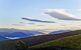 ALTO DOURO - HUMANITY HERITAGE 