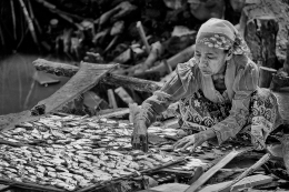 Drying Fish 