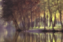 Morning light on the lake 