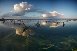 Sky Of Underwater 