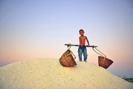 A little salt worker 