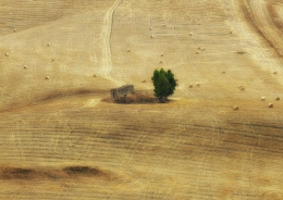 Scorcio di campagna sicula ad agosto....  