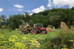 Romania , Maramures ,Poienile Izei ,work camp 