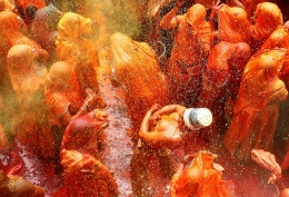 Holi festival  