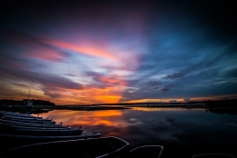 Early-morning marsh 