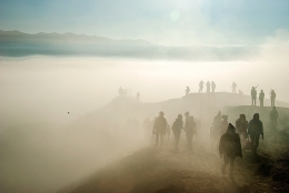 Foggy morning over Mt. Bromo 