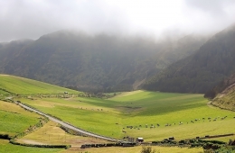 Paisagem açoreana 