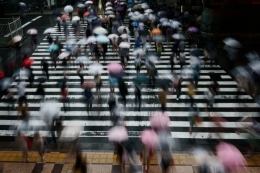 Hustle and bustle of rain    