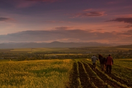 In the last light of the day 