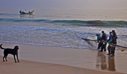 momentos de pesca 