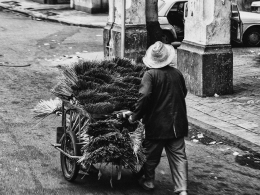 The seller of brooms 