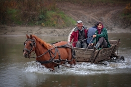 Country life 