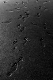 Footprints 