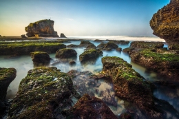 Rocks and Grass 