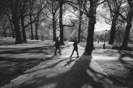 Walking in the park 