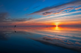 Tranquility 