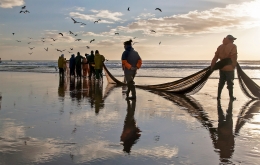 TRADITIONAL ART OF FISHING - XÁVEGA 