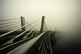 bridge in morning fog 