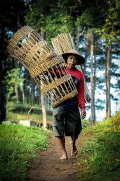 berjalan ke ladang 