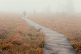 Quelque part dans les Hautes Fagnes belges 