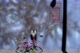 Fuschia bicycle 