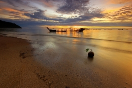 coconut and boat 