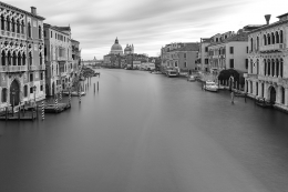 Venezia 